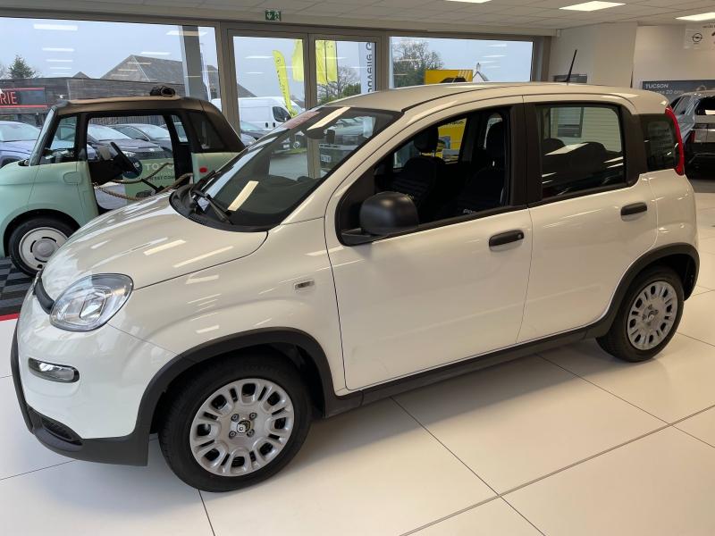 FIAT Panda - Classic 1.0 70ch BSG S&S City - Groupe Polmar
