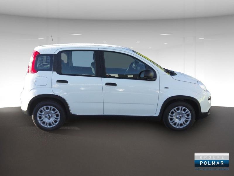 FIAT Panda - Classic 1.0 70ch BSG S&S City - Groupe Polmar