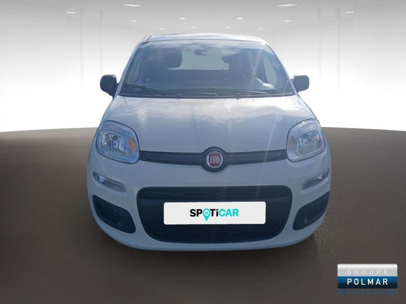 FIAT Panda - 1.0 70ch BSG S&S City - Groupe Polmar
