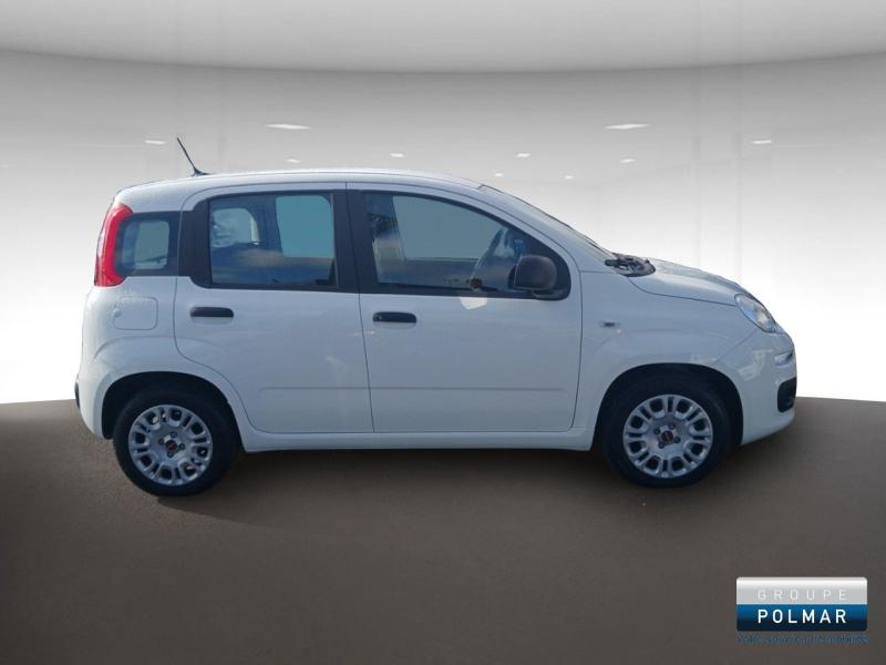 FIAT Panda - 1.0 70ch BSG S&S City - Groupe Polmar