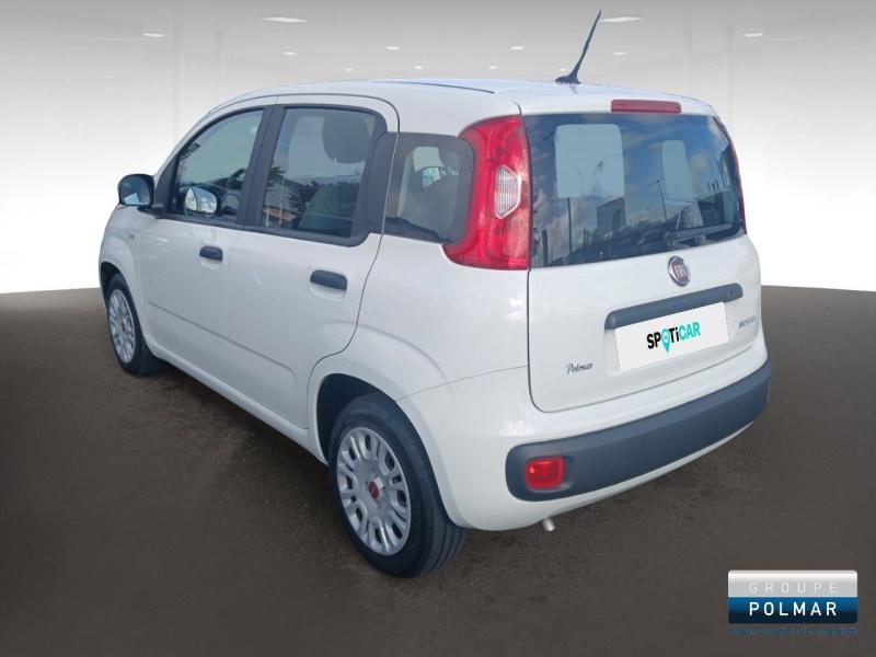 FIAT Panda - 1.0 70ch BSG S&S City - Groupe Polmar