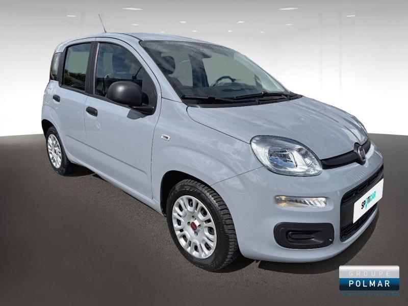 FIAT Panda - 1.0 70ch BSG S&S City - Groupe Polmar