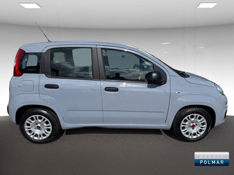 FIAT Panda - 1.0 70ch BSG S&S City - Groupe Polmar