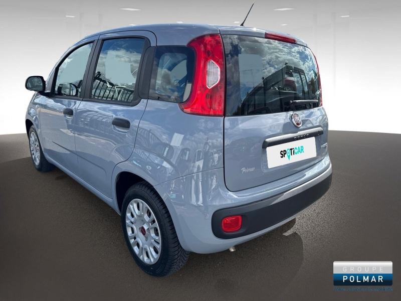 FIAT Panda - 1.0 70ch BSG S&S City - Groupe Polmar