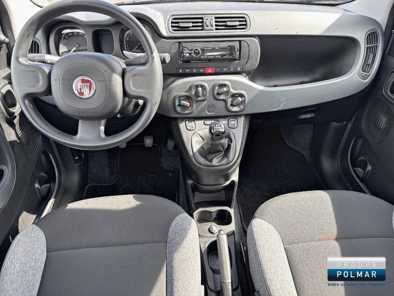 FIAT Panda - 1.0 70ch BSG S&S City - Groupe Polmar