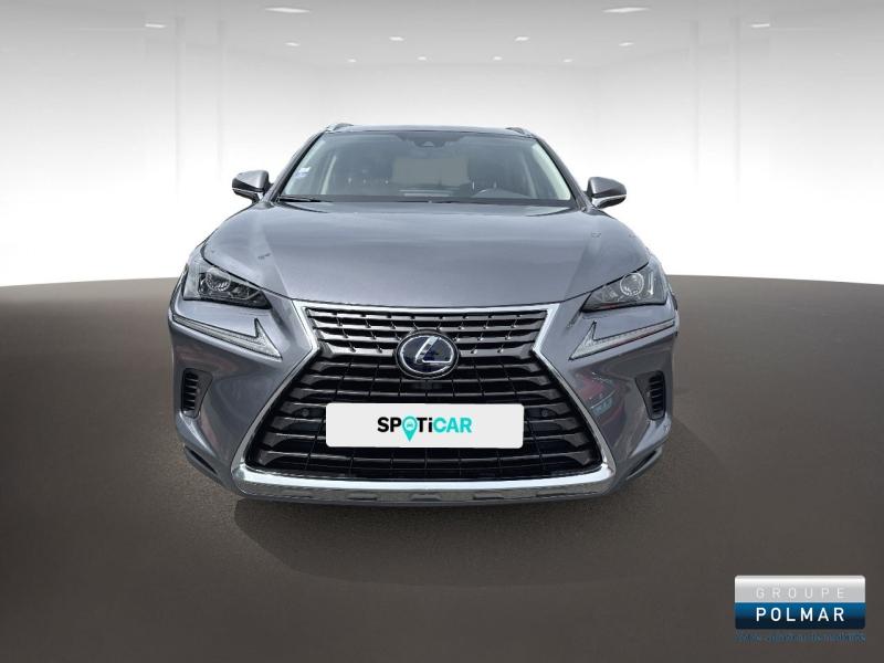 LEXUS NX - 300h 4WD Luxe  MY20 - Groupe Polmar