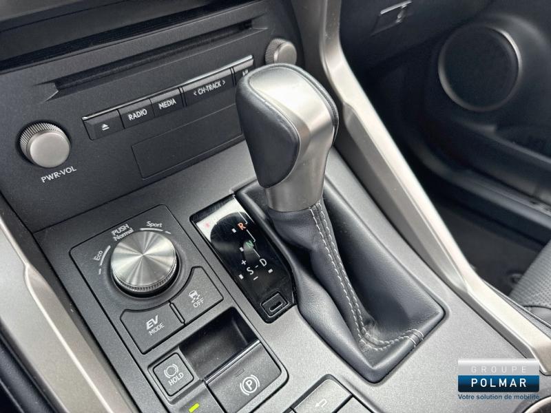 LEXUS NX - 300h 4WD Luxe  MY20 - Groupe Polmar