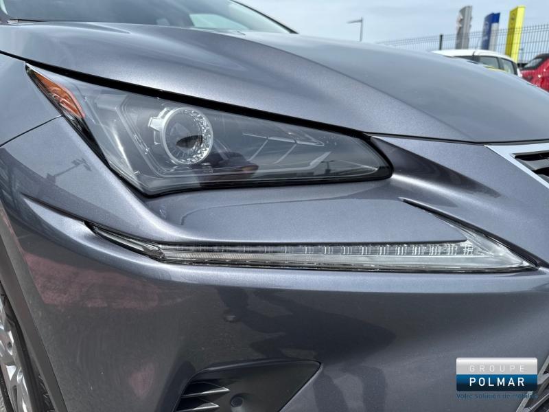 LEXUS NX - 300h 4WD Luxe  MY20 - Groupe Polmar