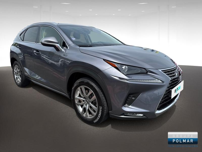 LEXUS NX - 300h 4WD Luxe  MY20 - Groupe Polmar