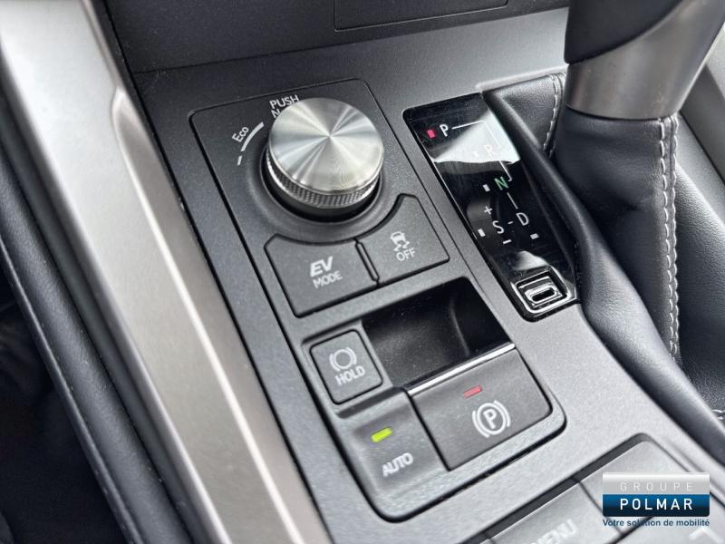 LEXUS NX - 300h 4WD Luxe  MY20 - Groupe Polmar
