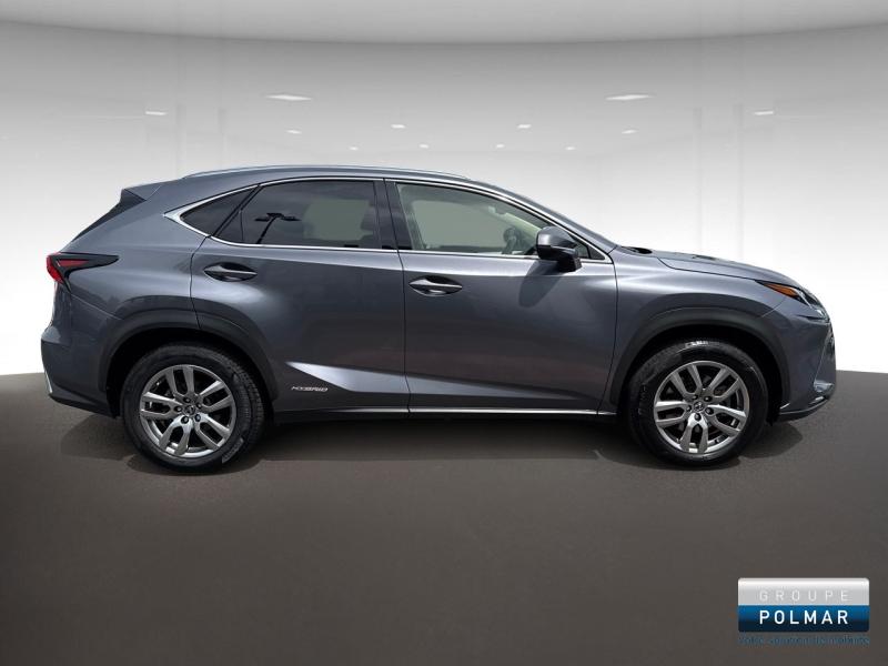 LEXUS NX - 300h 4WD Luxe  MY20 - Groupe Polmar