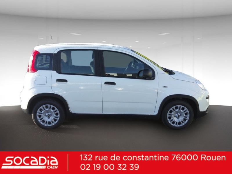 FIAT Panda - Classic 1.0 70ch BSG S&S City - Groupe Polmar