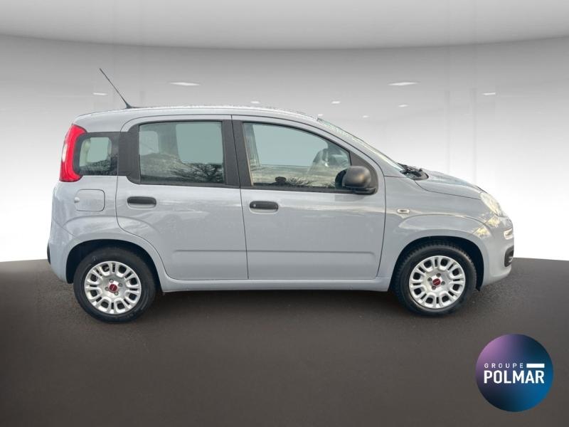 FIAT Panda - 1.0 70ch BSG S&S - Groupe Polmar