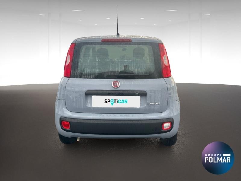 FIAT Panda - 1.0 70ch BSG S&S - Groupe Polmar