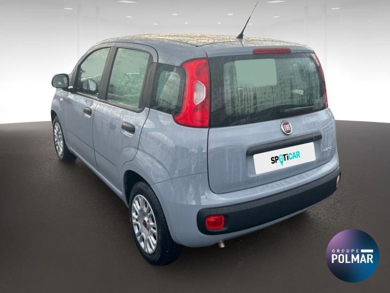 FIAT Panda - 1.0 70ch BSG S&S - Groupe Polmar