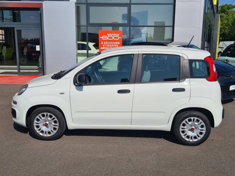 FIAT Panda - 1.0 70ch BSG S&S City - Groupe Polmar