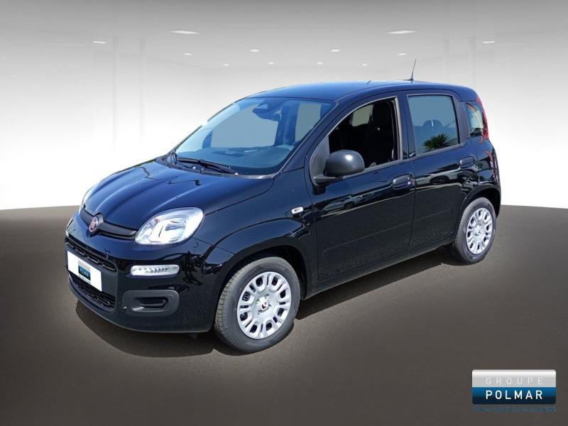 FIAT Panda - Groupe Polmar