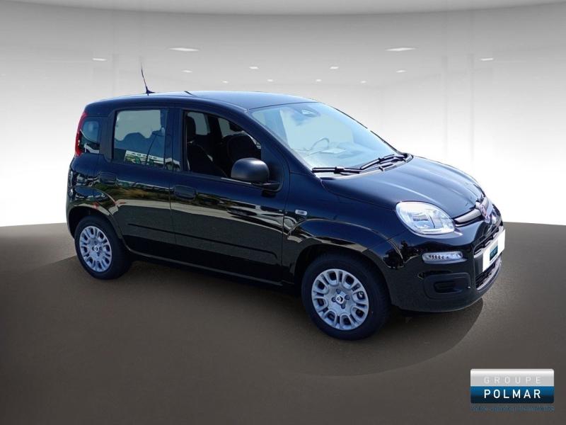 FIAT Panda - MY25 Panda City Hybrid 1.0 BSG 70ch - Groupe Polmar