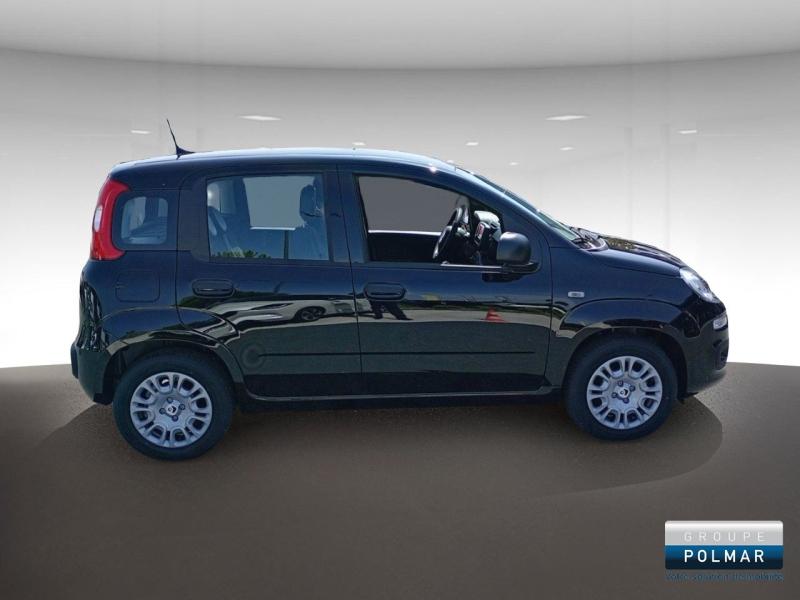 FIAT Panda - MY25 Panda City Hybrid 1.0 BSG 70ch - Groupe Polmar