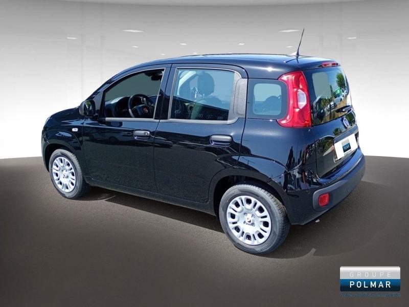 FIAT Panda - MY25 Panda City Hybrid 1.0 BSG 70ch - Groupe Polmar