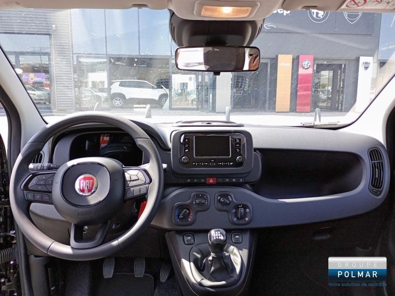FIAT Panda - MY25 Panda City Hybrid 1.0 BSG 70ch - Groupe Polmar