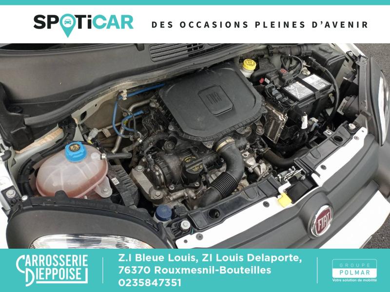 FIAT Panda - 1.0 70ch BSG S&S  Cross - Groupe Polmar