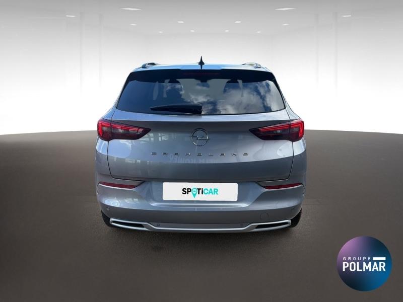 OPEL Grandland - 1.5 D 130ch Elegance Business BVA8 MY23 - Groupe Polmar