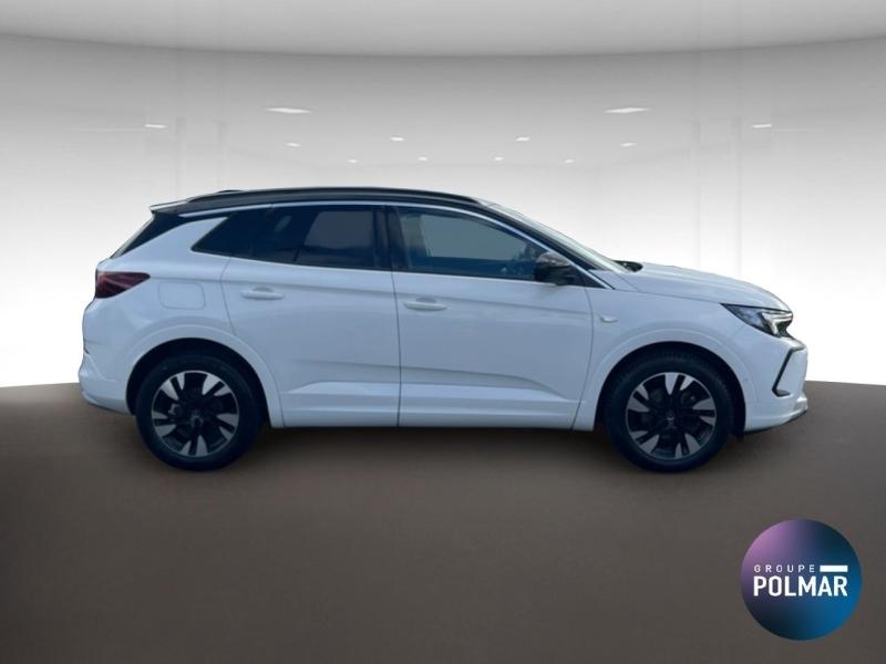 OPEL Grandland - 1.5 D 130ch Elegance Business BVA8 - Groupe Polmar