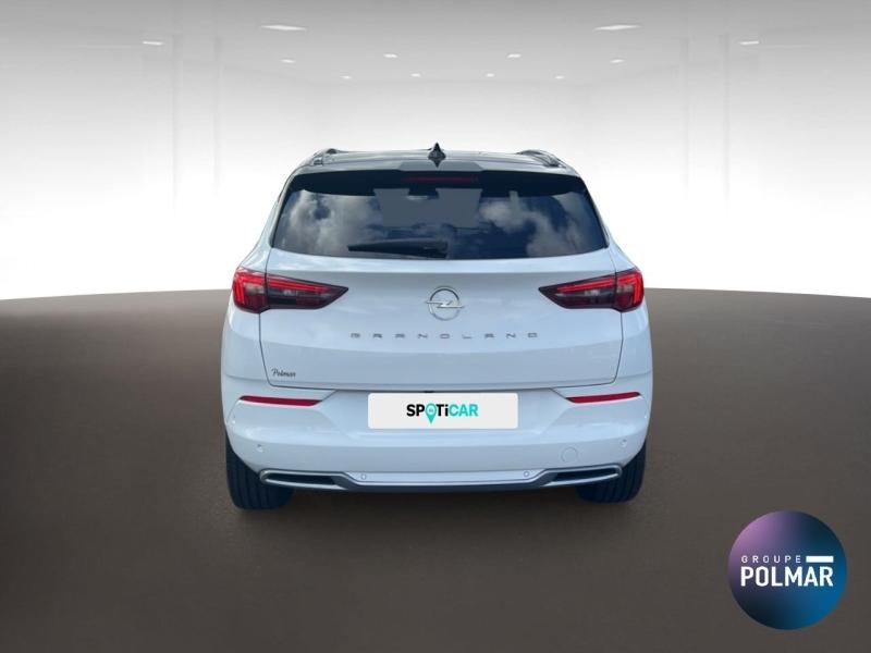 OPEL Grandland - 1.5 D 130ch Elegance Business BVA8 - Groupe Polmar